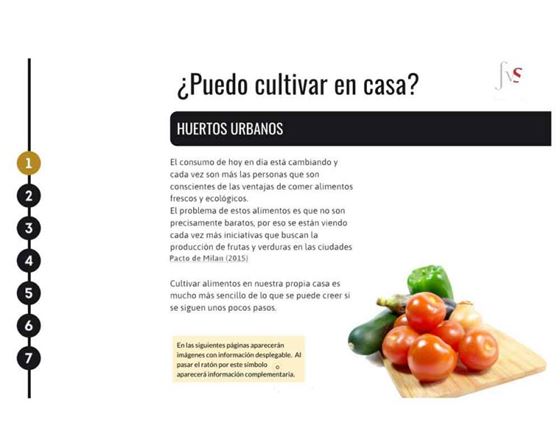 Cinco Pasos Para Cultivar Tus Propios Alimentos