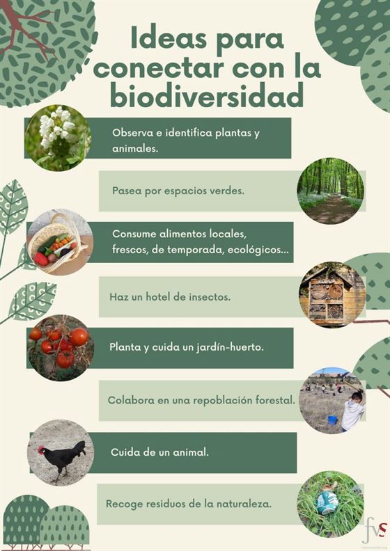 Conectar Con La Biodiversidad - FVS