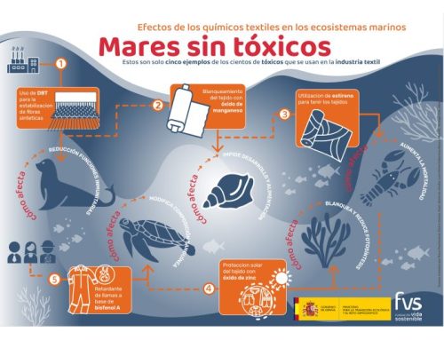 Mares sin tóxicos: los químicos textiles en los ecosistemas marinos