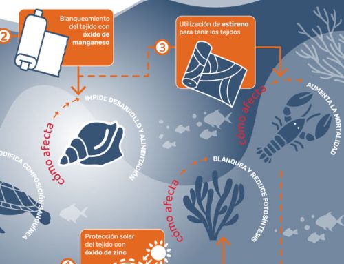 Mares sin tóxicos: los químicos textiles en los ecosistemas marinos