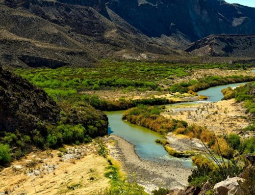 Así sí podemos reducir la huella ecológica